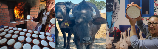 Silivri Yoğurt Festivali’nde yaşanan bir meydan okuma Aysun Subaşı’nın bu
